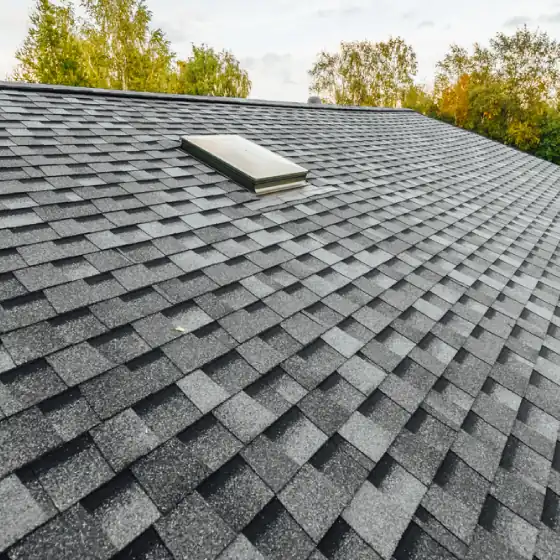 Roofing Services